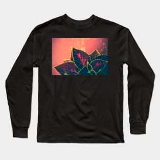 Coleus Leaves on Red Vintage Table Long Sleeve T-Shirt